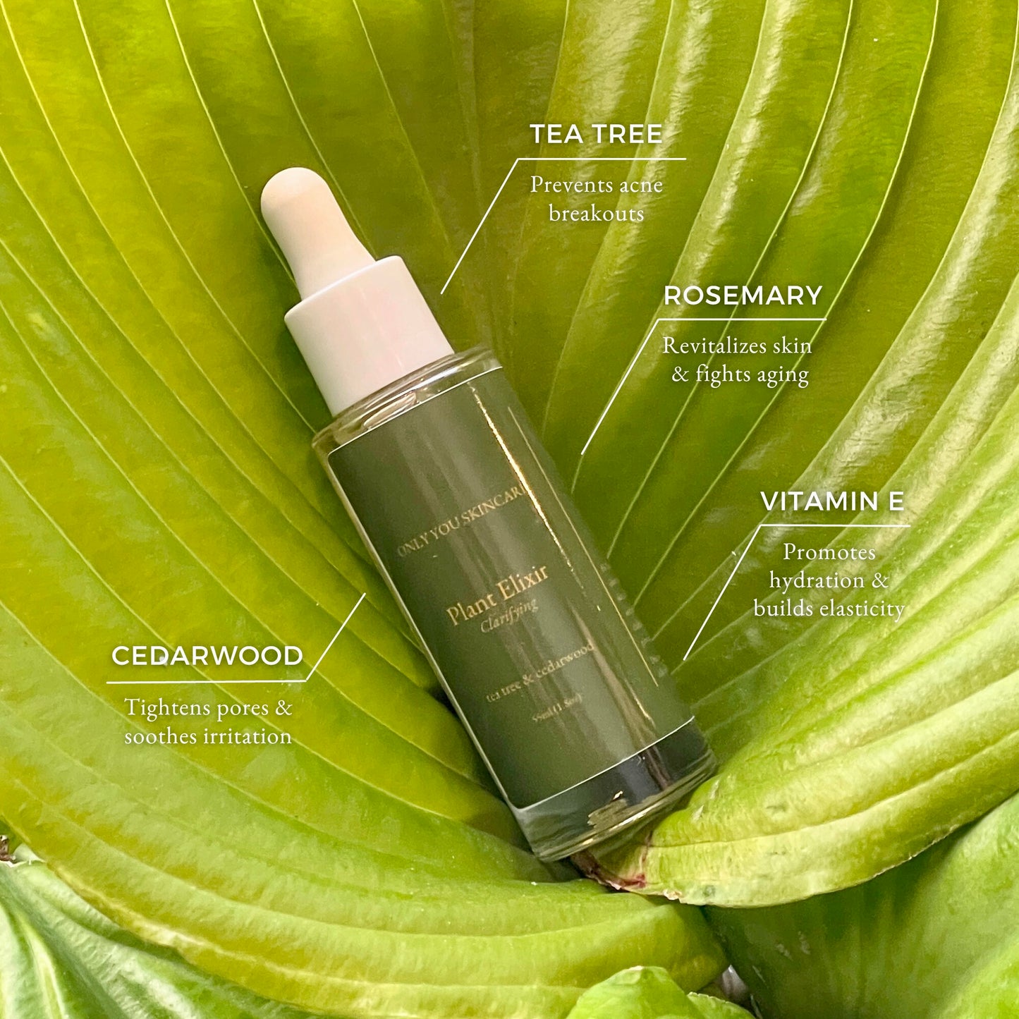 Clarifying Plant Elixir - 55ML