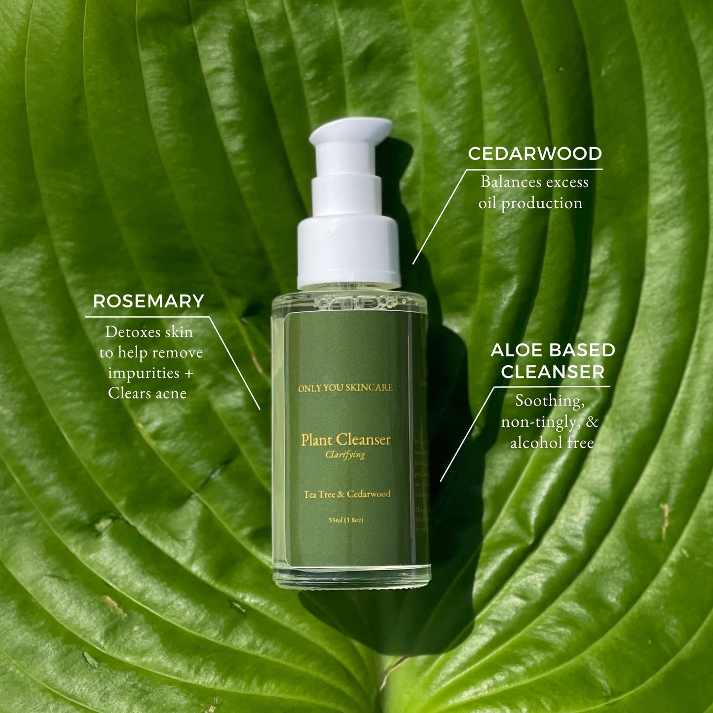 Clarifying Plant Cleanser